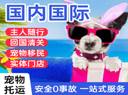 正定空运国际宠物托运 【国